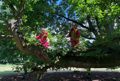 Two children standing on tree limb