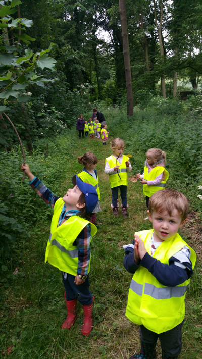Children in yellow vests in forest pointing at trees