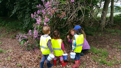 Children collecting forest items