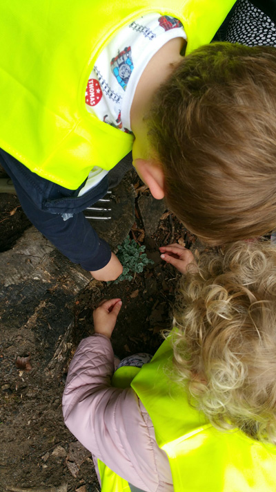 Children examining a plant