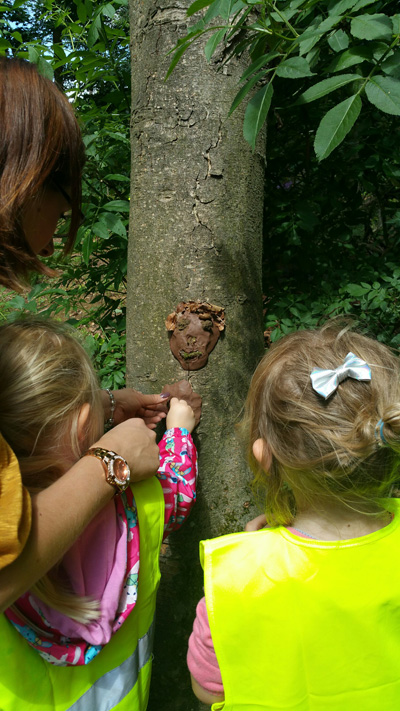 Children looking at a tree
