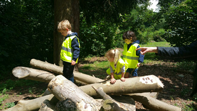 Children climbing over logs