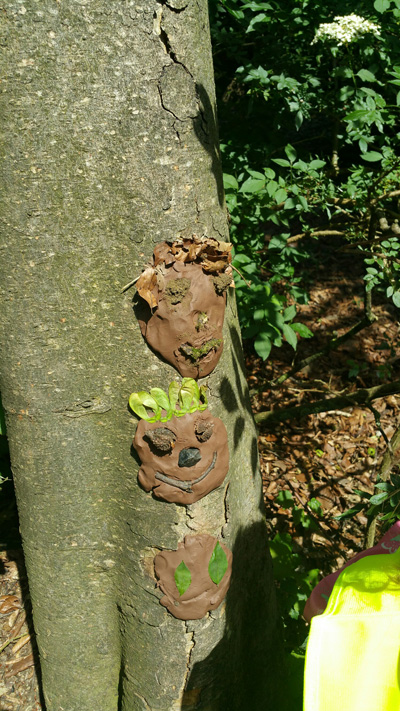 Mud faces on a tree